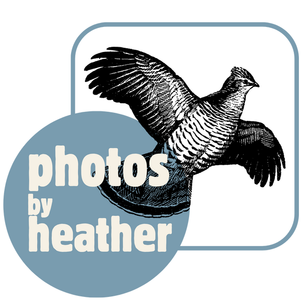 Photos By Heather